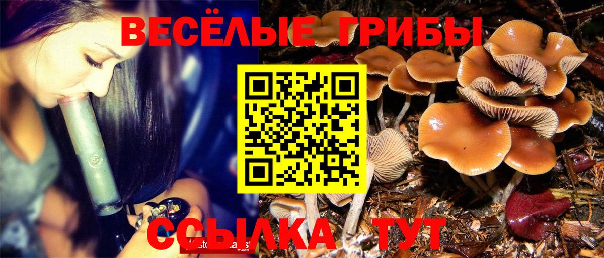 Галлюциногенные грибы GOLDEN TEACHER Спасск-Дальний
